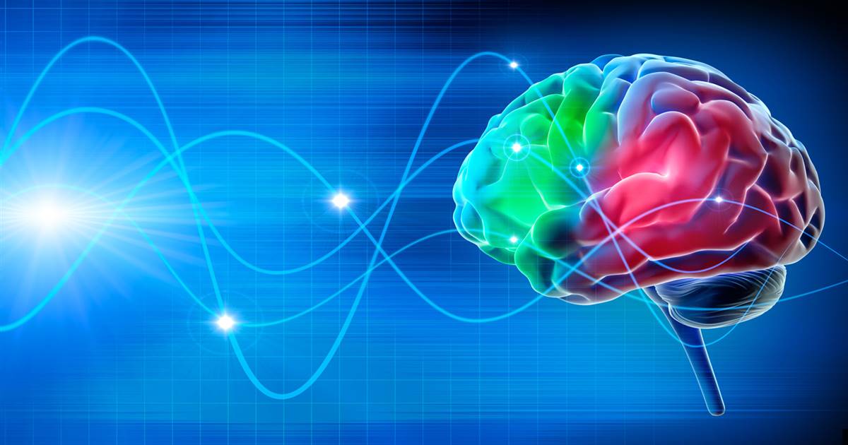 Com afecten els Trastorns de la Conducta Alimentària al nostre cervell? 