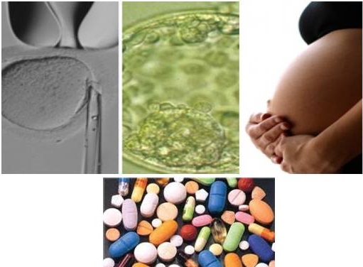 Psicofármacos: etapa reproduct., embarazo y lactancia